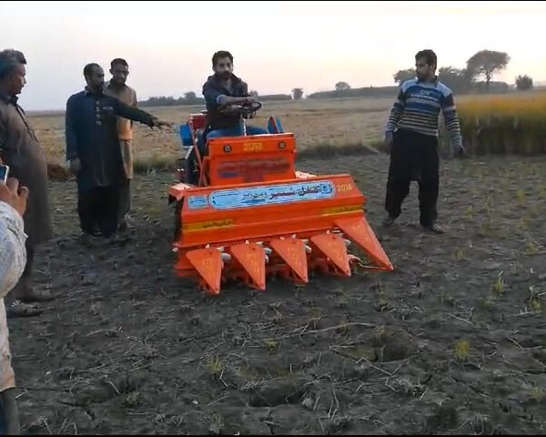 Factory & Industrial