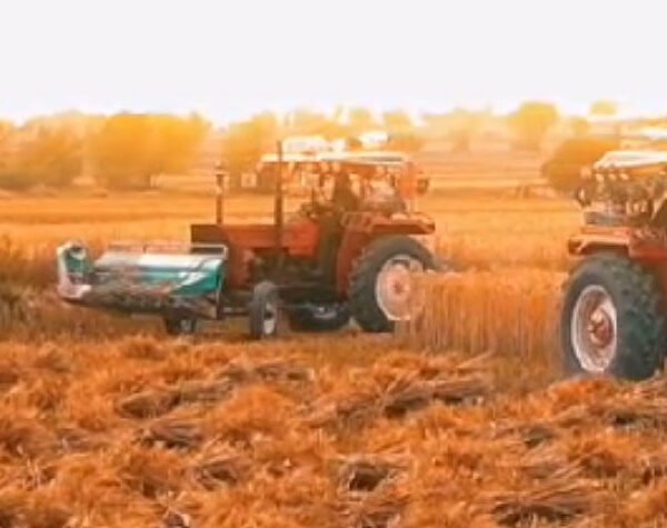 Factory & Industrial