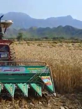 Factory & Industrial